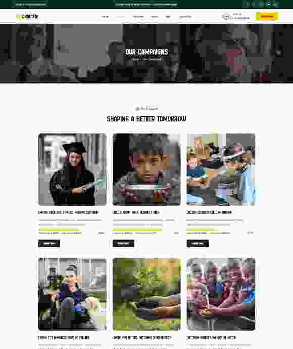 Our-campaigns